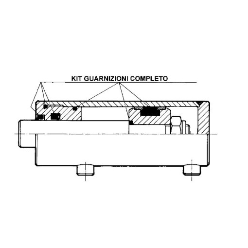 kit guarnizione cilindro AL100-ST60