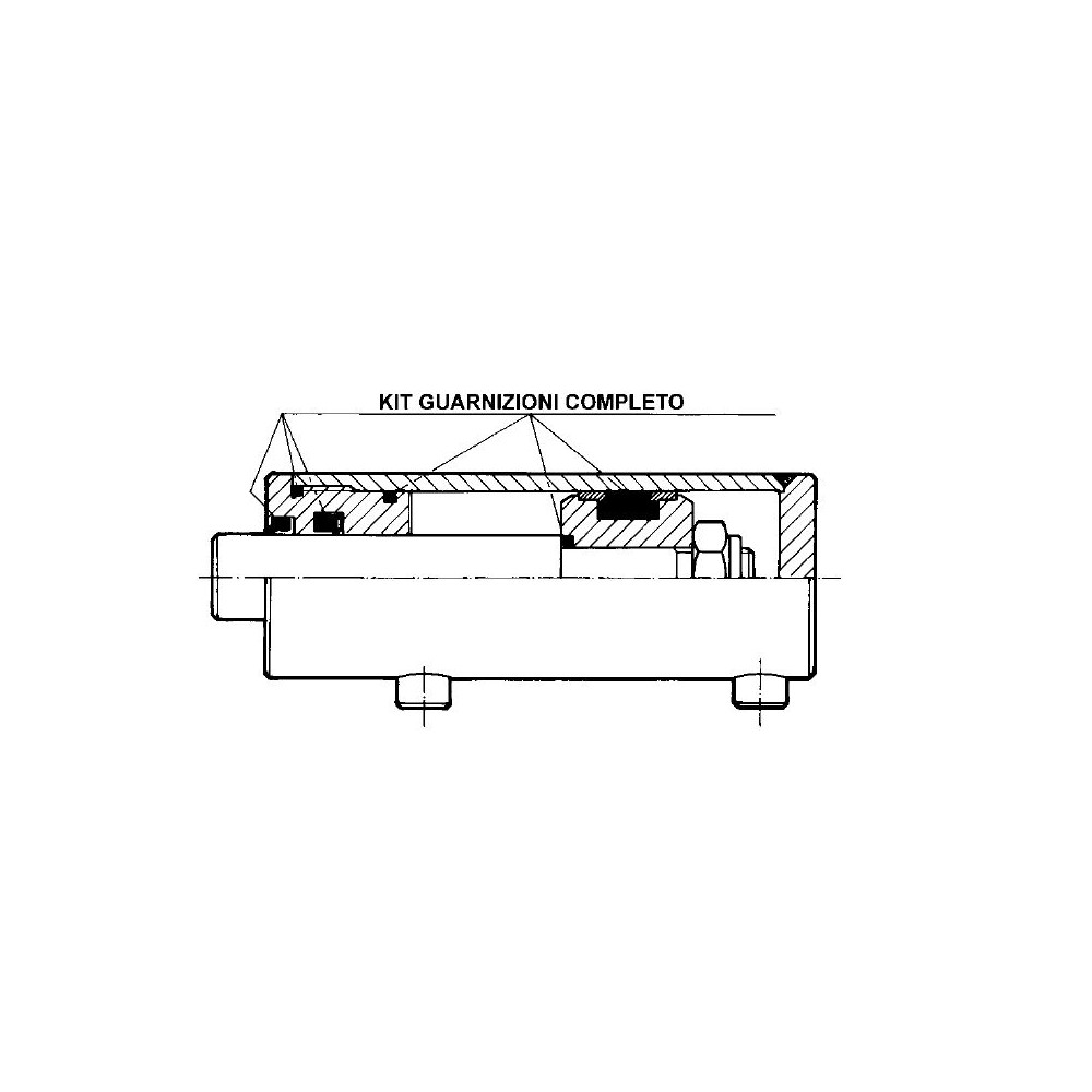 kit guarnizione cilindro AL100-ST60